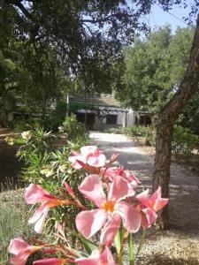 ImagenCamping Genal 3