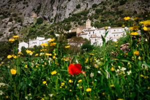 ImagenCasa De Los Cuadros 5