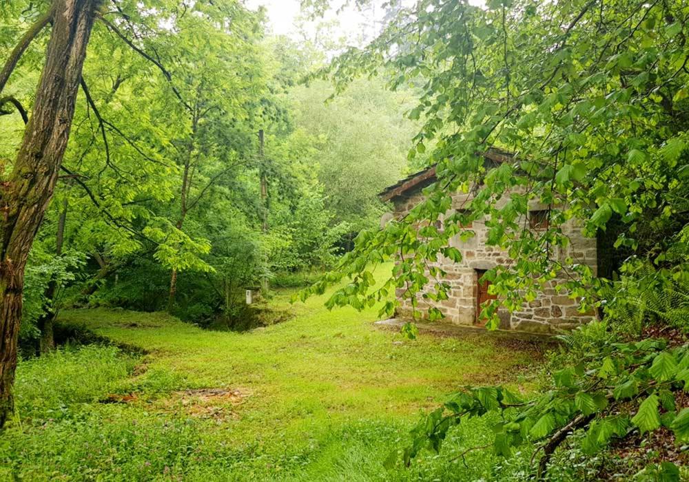 Casa del rioimagen principal