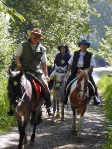 ImagenGranxa O Castelo 5