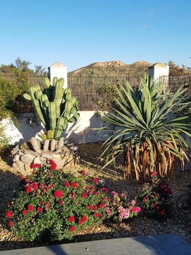 ImagenCortijo Esperanza 1