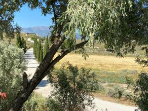 ImagenAlojamientos CUEVAS TIANA 6