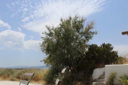 ImagenCueva El Ermitano 1