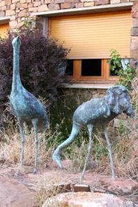 ImagenAllucant - Gallocanta 3