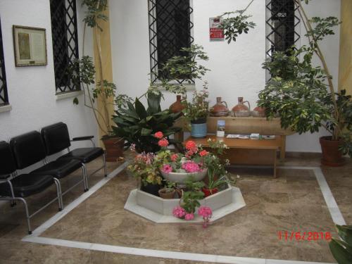 ImagenChez Rose et Patrick 2