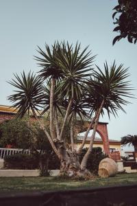 ImagenVilla Paquita - Delta de l'Ebre 5