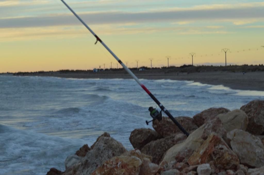 Eco touristimagen principal