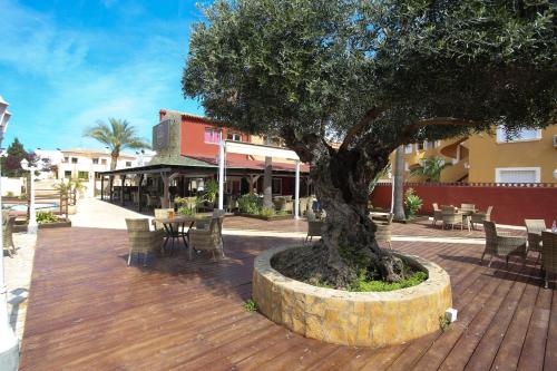 ImagenAlojamiento Café Soles 6