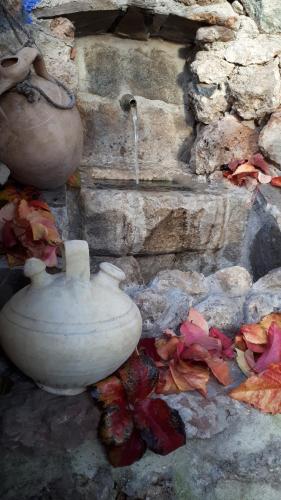 ImagenLa Posada Amena 2