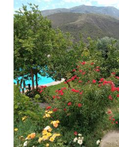 ImagenHotel Taray en Órgiva 5