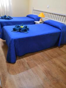 ImagenHostal Restaurante El Chato 6