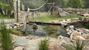 ImagenHotel Rural El Arca de Noé 5