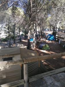 ImagenCamping TajoRodillo 6