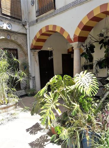 ImagenApartamentos Abderraman I 2