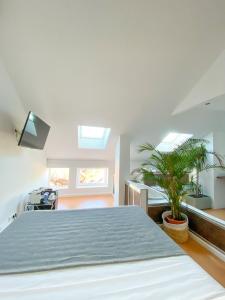 ImagenMolo Luxury Residences Puerto Banus 3