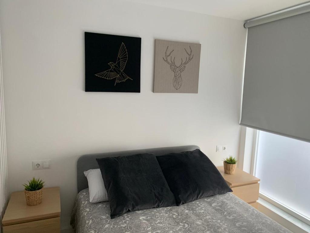 Hostal Acemarimagen principal