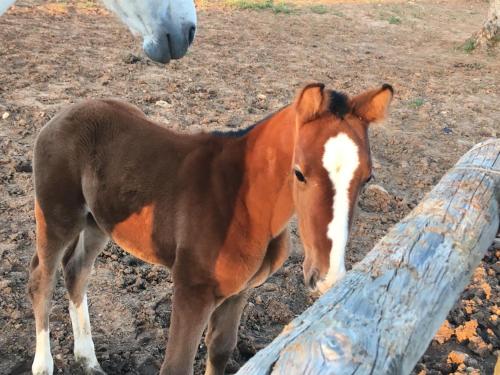 ImagenHacienda La Indiana 1