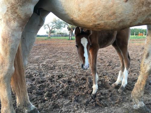 ImagenHacienda La Indiana 2