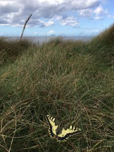 ImagenAcogedora casa en Rinlo, en la villa de Ribadeo 6