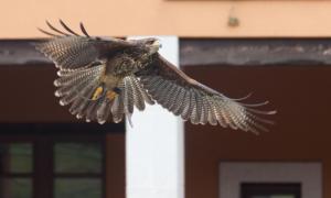 ImagenHotel Rural Yeguada Albeitar 5