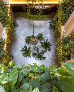 ImagenHotel Reina Cristina 6