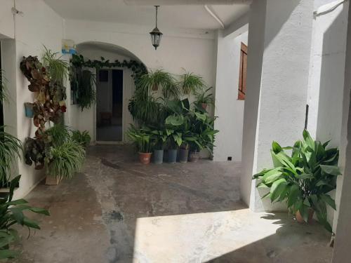 ImagenEl Estudio del Zaguán 2