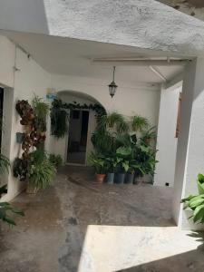 ImagenEl Estudio del Zaguán 5