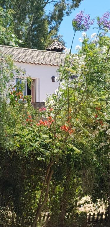 Casa El Sotoimagen principal