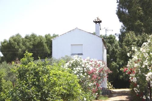 ImagenCasa El Soto 1