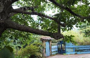 ImagenSlow House y La cabaña de Miss Slower 7