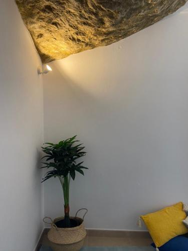 ImagenCasa del Mar a la Sierra 2