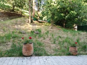 ImagenAlbergue Usandi Auto Check-in 5