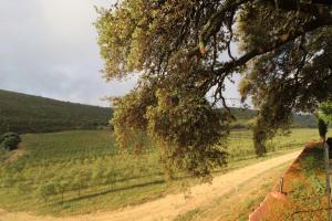 ImagenFinca Heredad La Boquilla 4