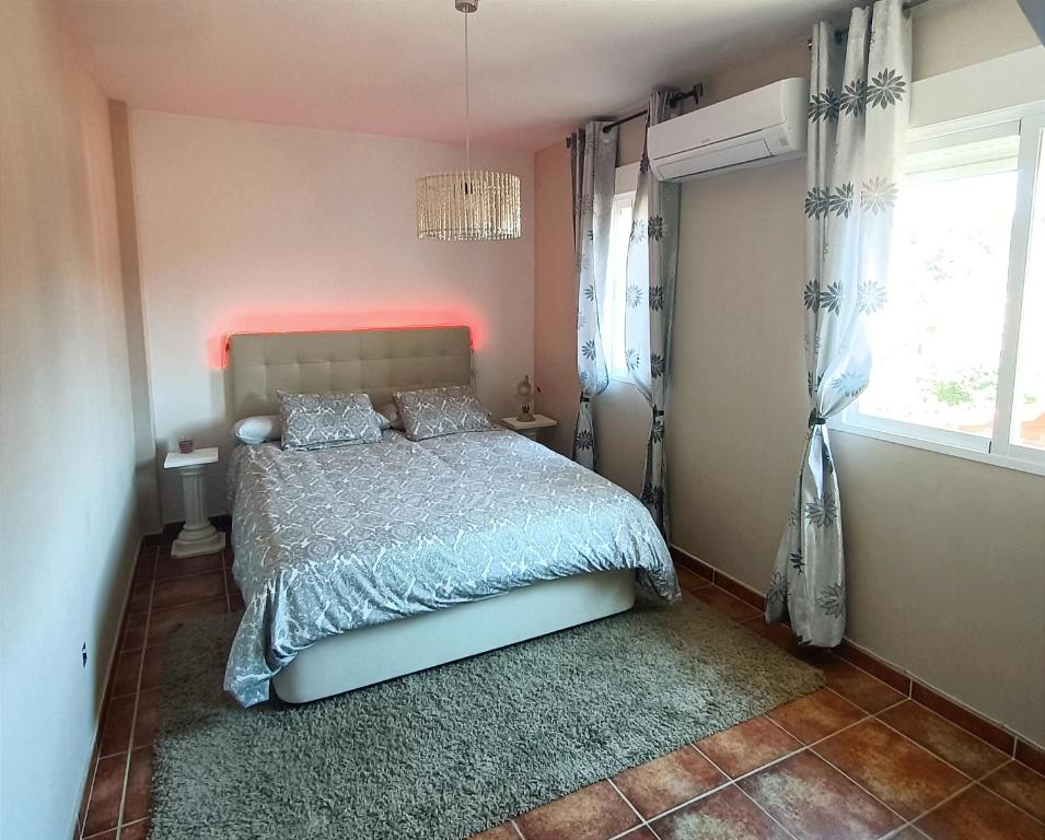 Paradiseimagen principal