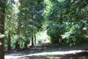 ImagenBalneario Casa Pallotti 6