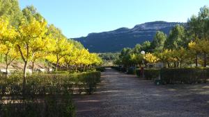 ImagenMontsant Park Camping & Bungalow 4