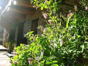 ImagenEl Secreto De Arlanza 6