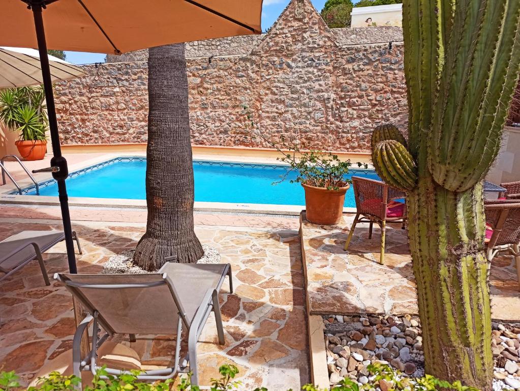 Palacio Sant Salvadorimagen principal