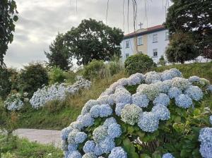 ImagenHostal San Cristobal en Pontedeume 5