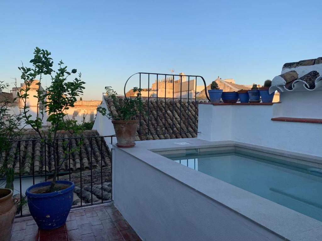 Apartamentos Los Patios de la Juderíaimagen principal