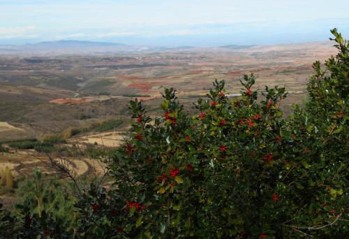 ImagenApartamentos La Dama Azul 1
