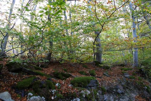 ImagenApartamentos La Dama Azul 2