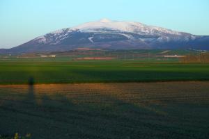ImagenApartamentos La Dama Azul 5