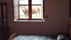 ImagenCASA CASARIEGO 5