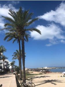 ImagenApartamentos Formentera Copacabana 28 3