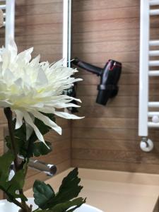 ImagenApartamento turistico pizarro 5