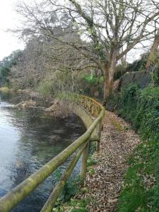 ImagenApartamentos lagunas 10