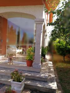 ImagenDespertar con el sonido de los pajaros 3