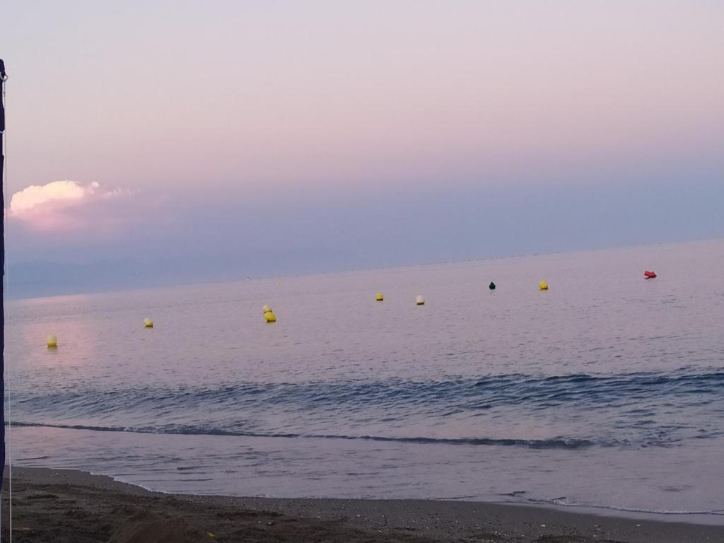 Fuengirola Puerto Sun&Beachimagen principal