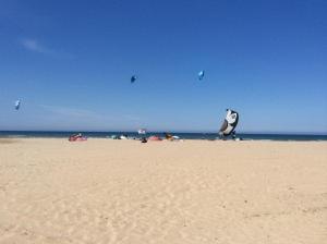 ImagenEstrella Del Mar, Denia 3